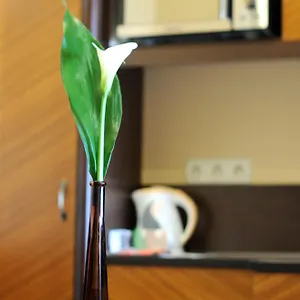 Baron Hotel Budapest